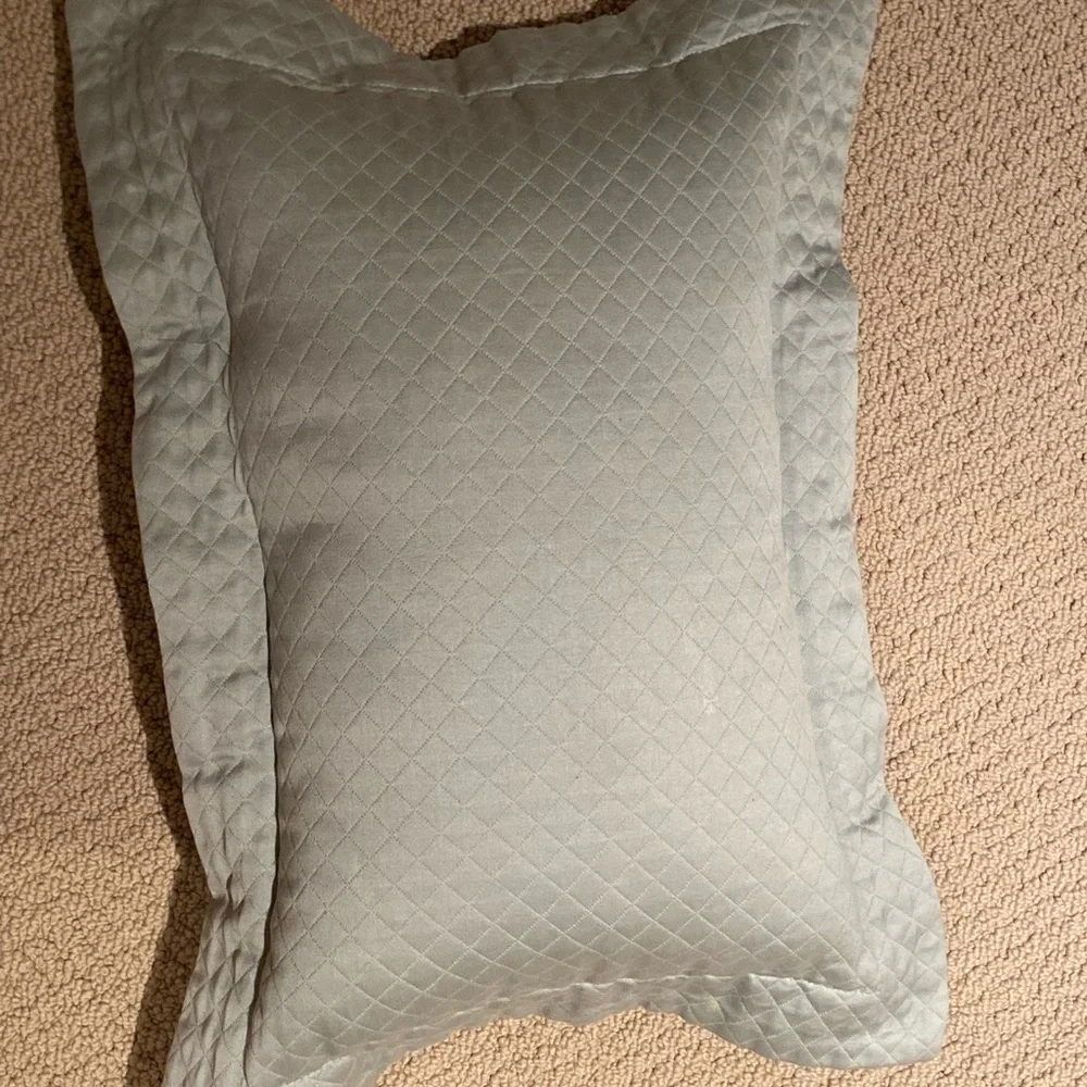 Restoration Hardware Blue Accent Pillow 20x15”
